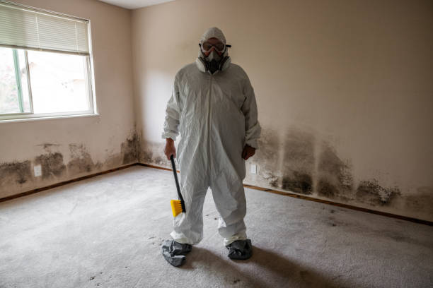 Best Crawl Space Mold Removal  in South Barre, VT